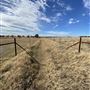 Fairlea Longhorn Ranch
