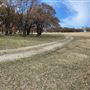 Fairlea Longhorn Ranch
