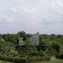 San Antonio Botanical Garden