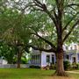 Emily Boothe House