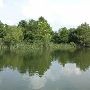 San Antonio Botanical Garden - Lake