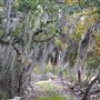 Wimberley Valley Vistas Ranch