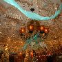 Mi Tierra Cafe Y Panaderia