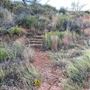 Borger Nature Trail