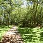 Clark Gardens Botanical Park