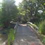 Clark Gardens Botanical Park