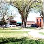 Dalhart