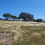Kestrel Ranch