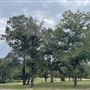 Conrey Ranch