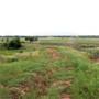 Two Wishes Ranch