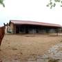 Two Wishes Ranch