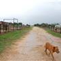 Two Wishes Ranch