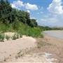 Big Bend National Park - Rio Grande Village