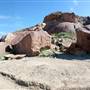Horseback Riding Trails