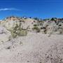 Horseback Riding Trails