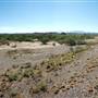 Horseback Riding Trails