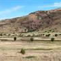 CF Ranch