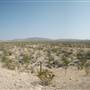 Terrain West of Terlingua