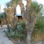 Big Bend Ranch State Park - Barton Warnock Environmental Education Center