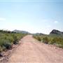 Big Bend Ranch State Park - Yedras