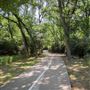 Bob Findlay Linear Park