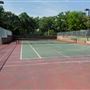 Cliff Nelson Park