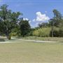 Julia Burgen Linear Park