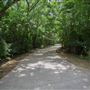 Sublett Creek Linear Park