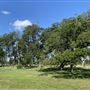 Sweeny Cemetery