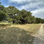 Fairlea Longhorn Ranch