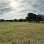 Fairlea Longhorn Ranch