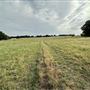 Fairlea Longhorn Ranch