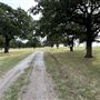 Fairlea Longhorn Ranch