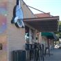 Flying Squirrel Coffee Co.