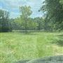 Bishop Property