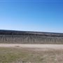 Blue Ostrich Winery & Vineyard