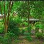 The Turquoise Garden