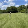 Arkikosa Ranch