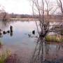 Mineola Nature Preserve