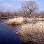 Mineola Nature Preserve