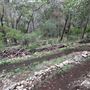 Panther Canyon Nature Trail