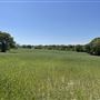 7D Hay & Cattle LLC