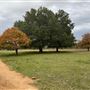 HorseLink Farm