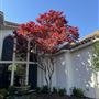 Bradburn Mansion