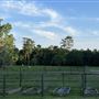 Pine Acres Farm