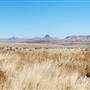 Cibolo Creek Ranch