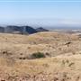 Cibolo Creek Ranch