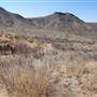 Cibolo Creek Ranch