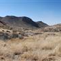 Cibolo Creek Ranch