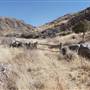 Cibolo Creek Ranch